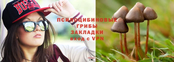 ешки Пересвет