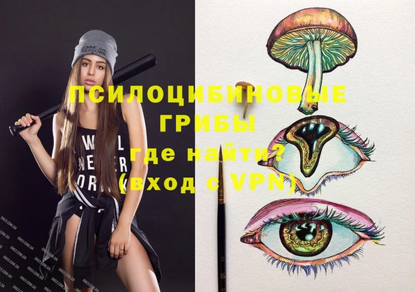 индика Абдулино