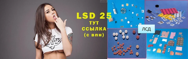 ешки Пересвет
