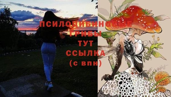 бутират Абинск