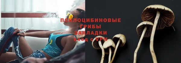 стаф Воткинск