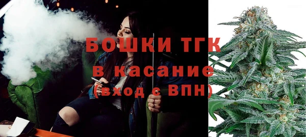 индика Абдулино