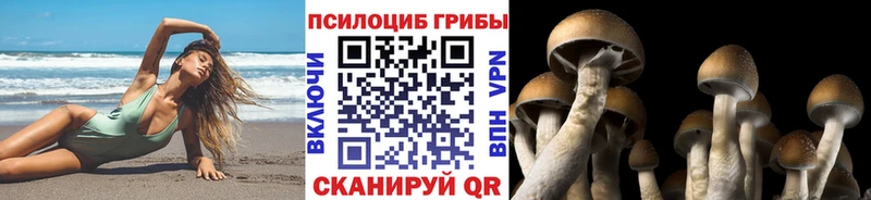 даркнет сайт  маркетплейс наркотические препараты  Галлюциногенные грибы Magic Shrooms  Лакинск 